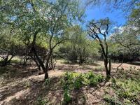  of property in Marloth Park