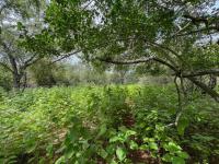  of property in Marloth Park