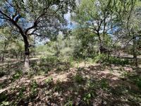  of property in Marloth Park