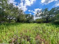  of property in Marloth Park