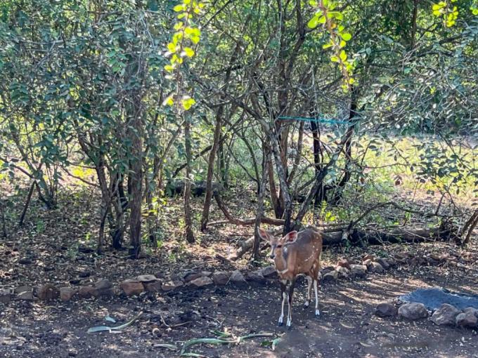 2 Bedroom House for Sale For Sale in Marloth Park - MR711601