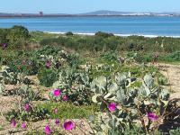  of property in Saldanha