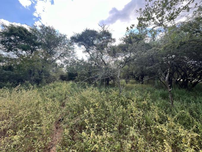 Land for Sale For Sale in Marloth Park - MR711682