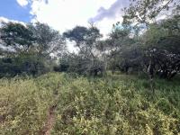  of property in Marloth Park