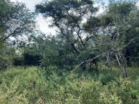  of property in Marloth Park