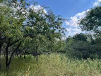  of property in Marloth Park