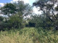  of property in Marloth Park