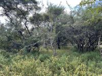  of property in Marloth Park