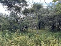  of property in Marloth Park