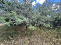  of property in Marloth Park