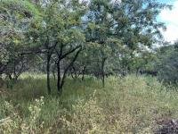  of property in Marloth Park