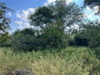  of property in Marloth Park