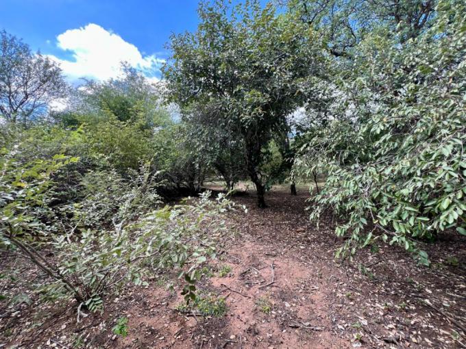 Land for Sale For Sale in Marloth Park - MR711745