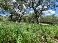  of property in Marloth Park