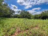  of property in Marloth Park