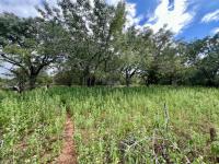  of property in Marloth Park