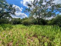  of property in Marloth Park