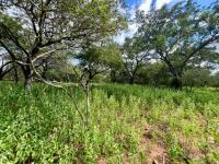  of property in Marloth Park