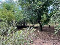  of property in Marloth Park