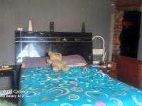  of property in Newlands - JHB