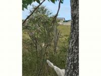  of property in Alexandria