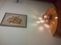  of property in Williston