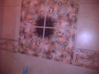  of property in Williston