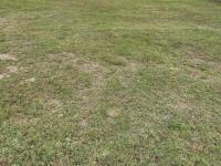  of property in Six Fountains Estate