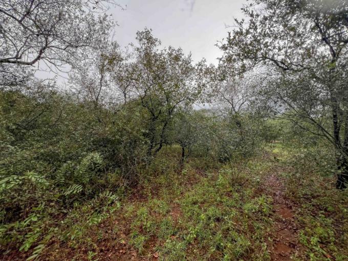 Land for Sale For Sale in Marloth Park - MR712169