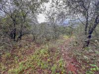  of property in Marloth Park