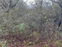  of property in Marloth Park