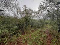  of property in Marloth Park