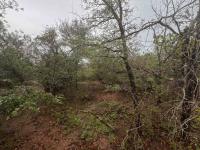  of property in Marloth Park