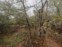  of property in Marloth Park