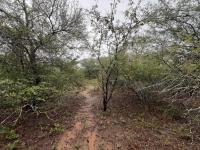  of property in Marloth Park
