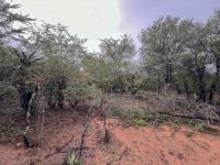  of property in Marloth Park