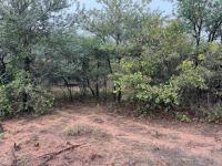  of property in Marloth Park