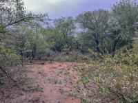  of property in Marloth Park