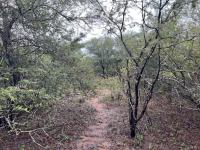  of property in Marloth Park