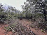  of property in Marloth Park