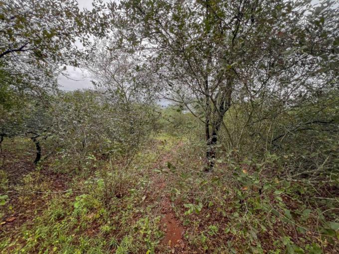 Land for Sale For Sale in Marloth Park - MR712221