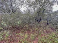  of property in Marloth Park