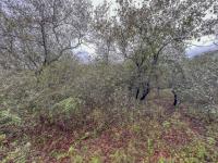  of property in Marloth Park