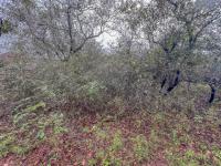  of property in Marloth Park