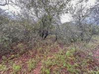  of property in Marloth Park