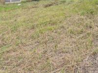  of property in Middelburg - MP