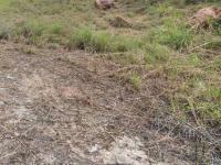  of property in Middelburg - MP