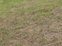  of property in Middelburg - MP