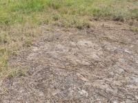  of property in Middelburg - MP