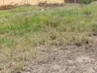  of property in Middelburg - MP